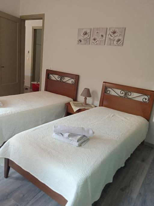 Ferienwohnung Teris123 Florina Exterior foto